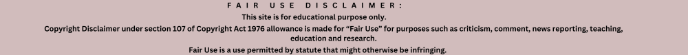 FAIR USE DISCLAIMER 1