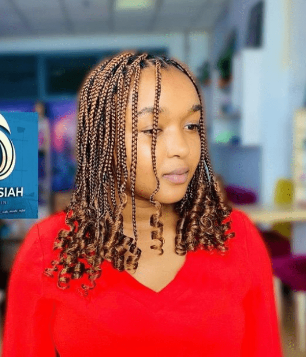 Braided Hairstyles for Black Women