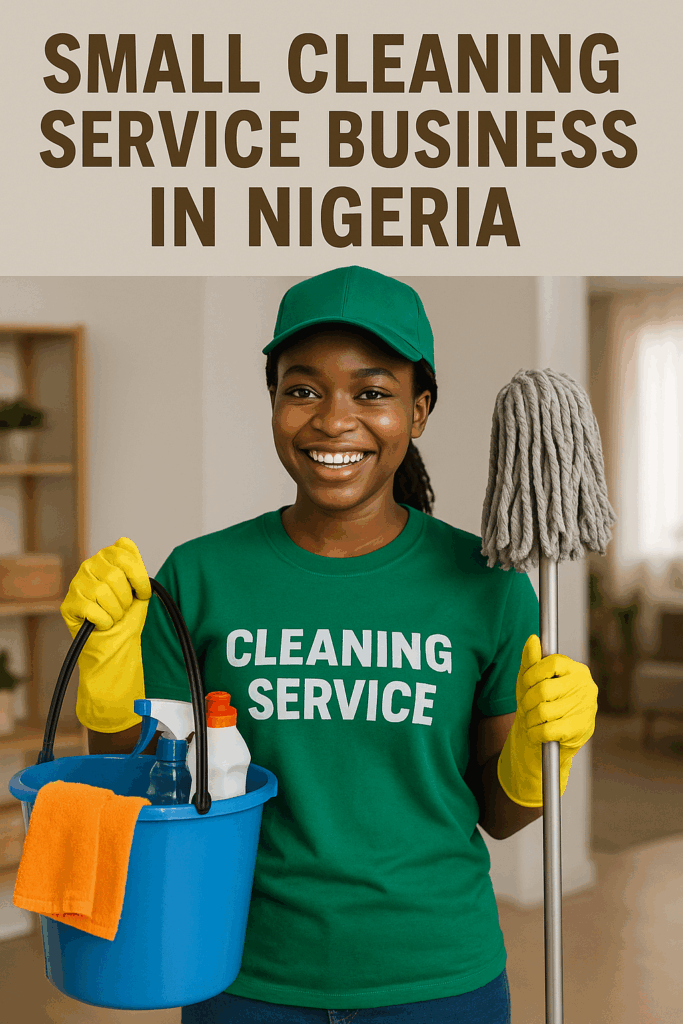 How to Start a Small Cleaning Service Business in Nigeria
